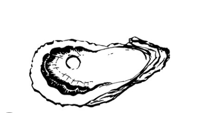 お店の雰囲気写真